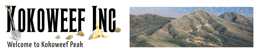 KokoweefInc.net Logo